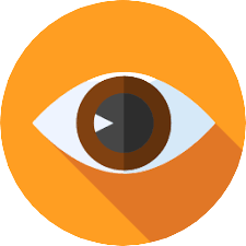 vision-img